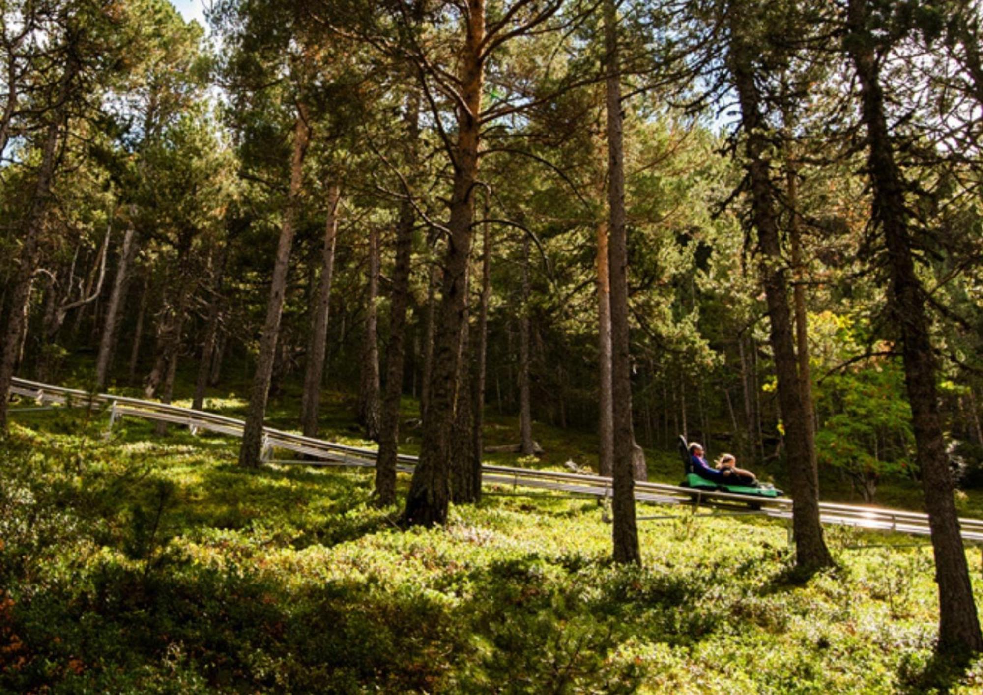 Apartamento Moderno El Bosque En Arinsal Kültér fotó